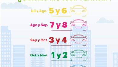calendario verificación vehicular
