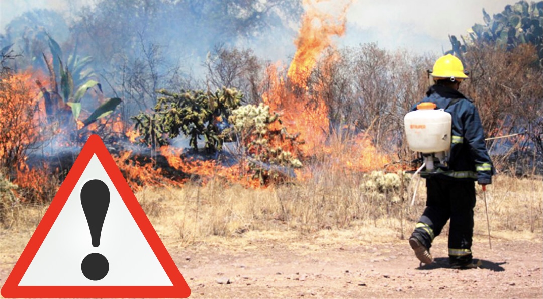 Incendios forestales en Hidalgo