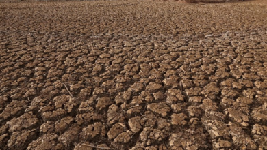 Foto de un suelo en sequía como el de Hidalgo por la crisis d agua.